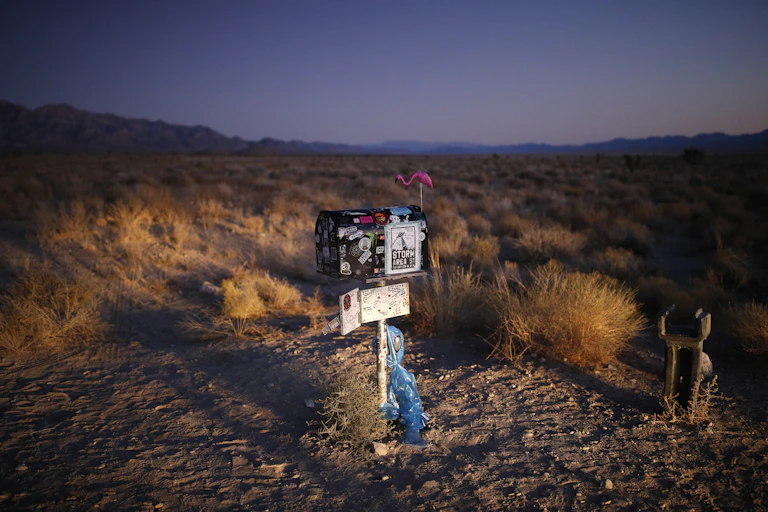 A black mailbox with stickers all over it, and a small plastic flamingo tied to it, stands amid brush, with hills in the background.