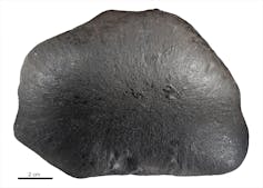 The Ellerslie meterorite