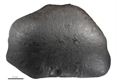 The Ellerslie meterorite