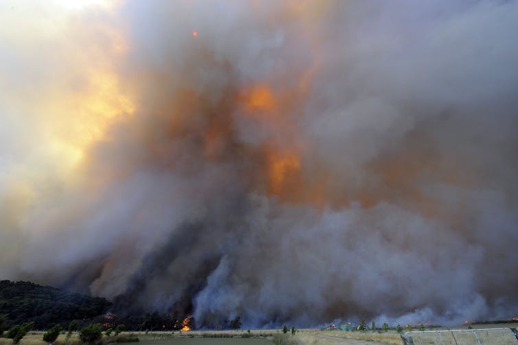 smoke towers above a bushfire