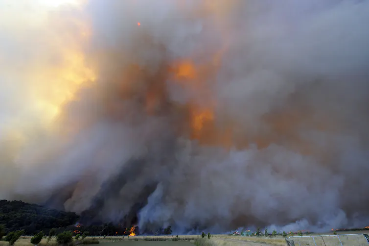 smoke towers above a bushfire
