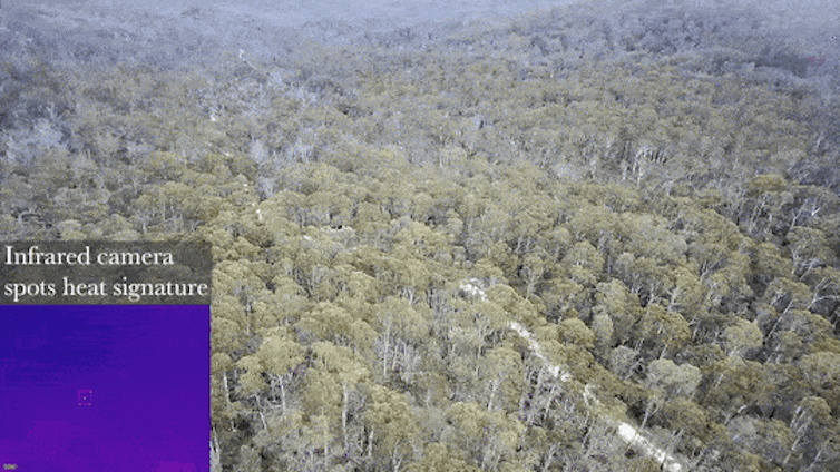 BRCoE Scout Drone detects a small spot fire, lit by firefights under the canopy