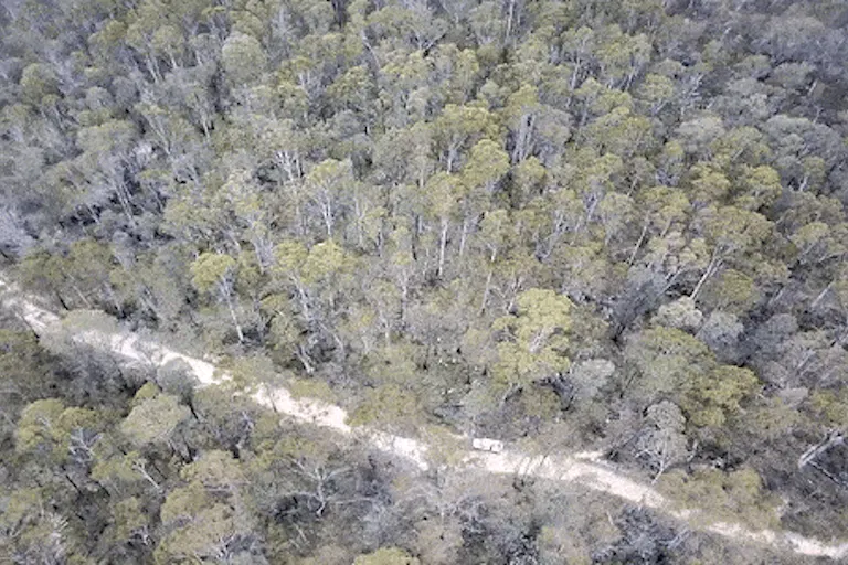 Drone searches for bushfires