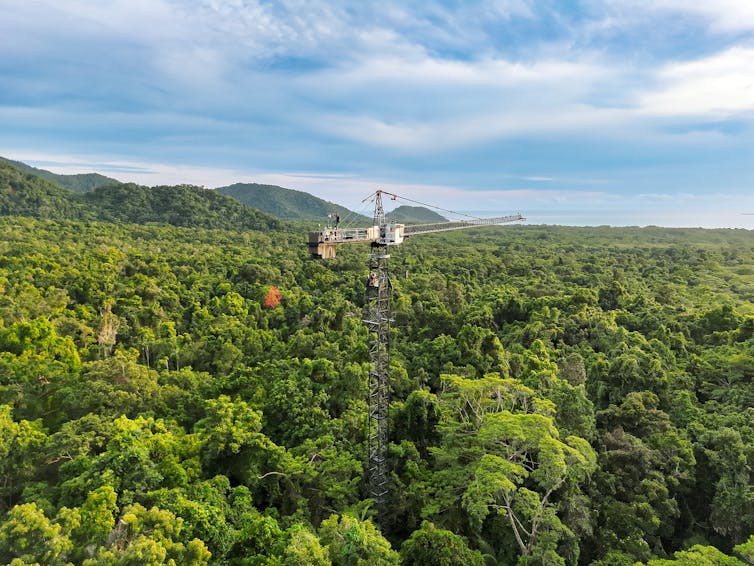 A distant view of rainforest treetops with a tall crane in the middle.