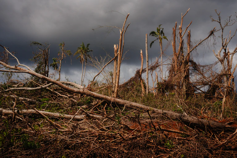 Cette photo montre les dégâts dans une forêt près du village de Barakani, sur le territoire français de Mayotte dans l'océan Indien, le 21 décembre 2024, après le passage du cyclone Chido sur l'archipel.