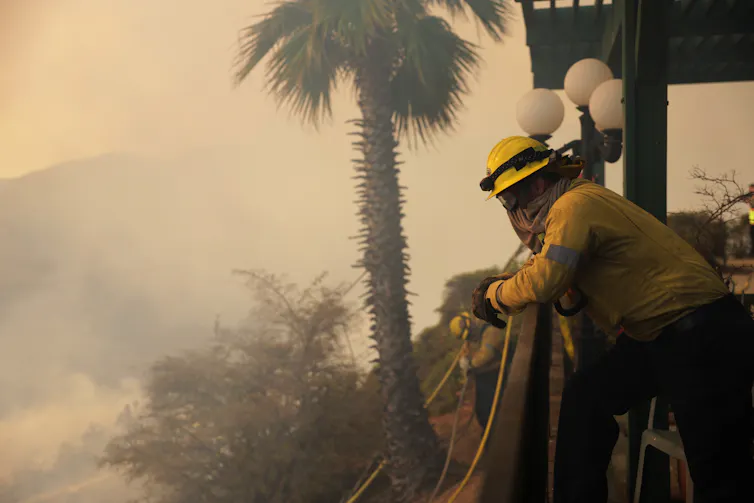 Firefighters look at smoke and palm tree
