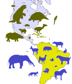 An illustrated graphic shows the American continents with silhouettes of animals on top.