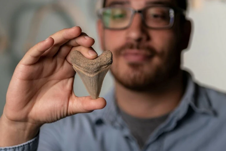 Man holding a large ancient fossilized shark tooth