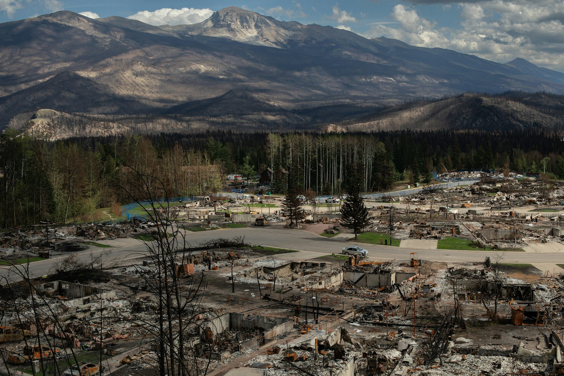 A burned-down neighbourhood with trees and mountains in the background