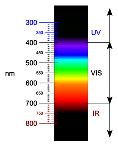 A diagram showing the visible light spectrum, with indigo and violet having shorter wavelengths than red and orange.