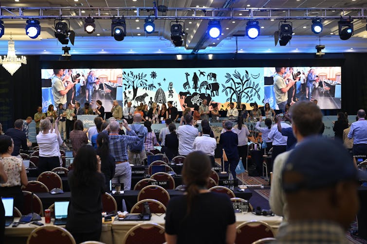 The IPBES plenary meeting