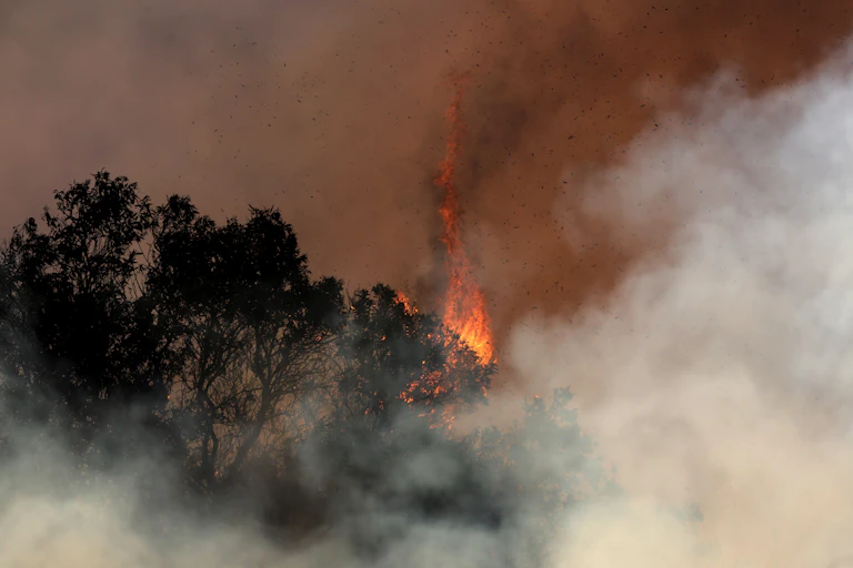 Flames and smoke in Los Angeles wildfires.