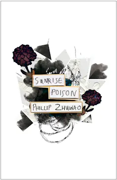 A book cover in mostly black and white featuring an artwork that is a collage of cut of photos of clouds with drawings of red flowers and held together by spiral shapes at the bottom