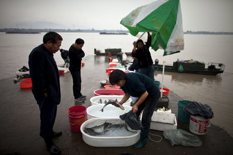 A fishmonger holds a fish at a riverside fish market on a cloudy day as a customer stands nearby.