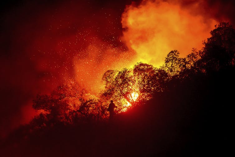 Des flammes envahissent un territoire