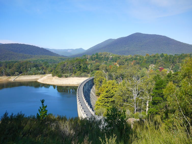 Aerial view of a dam next to a forest.