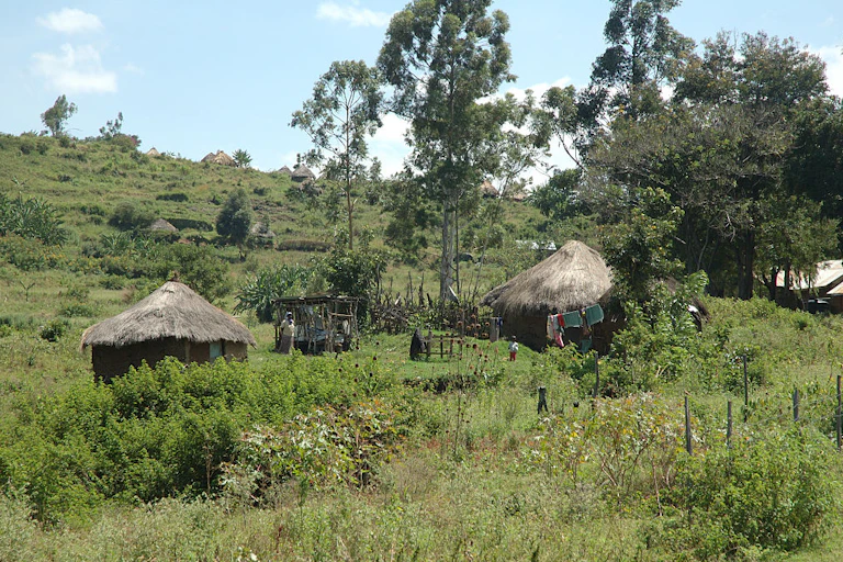 Small, thatched buildings in a rural setting