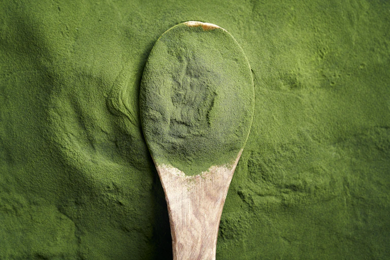 Une cuillère pleine de poudre d'algue.
