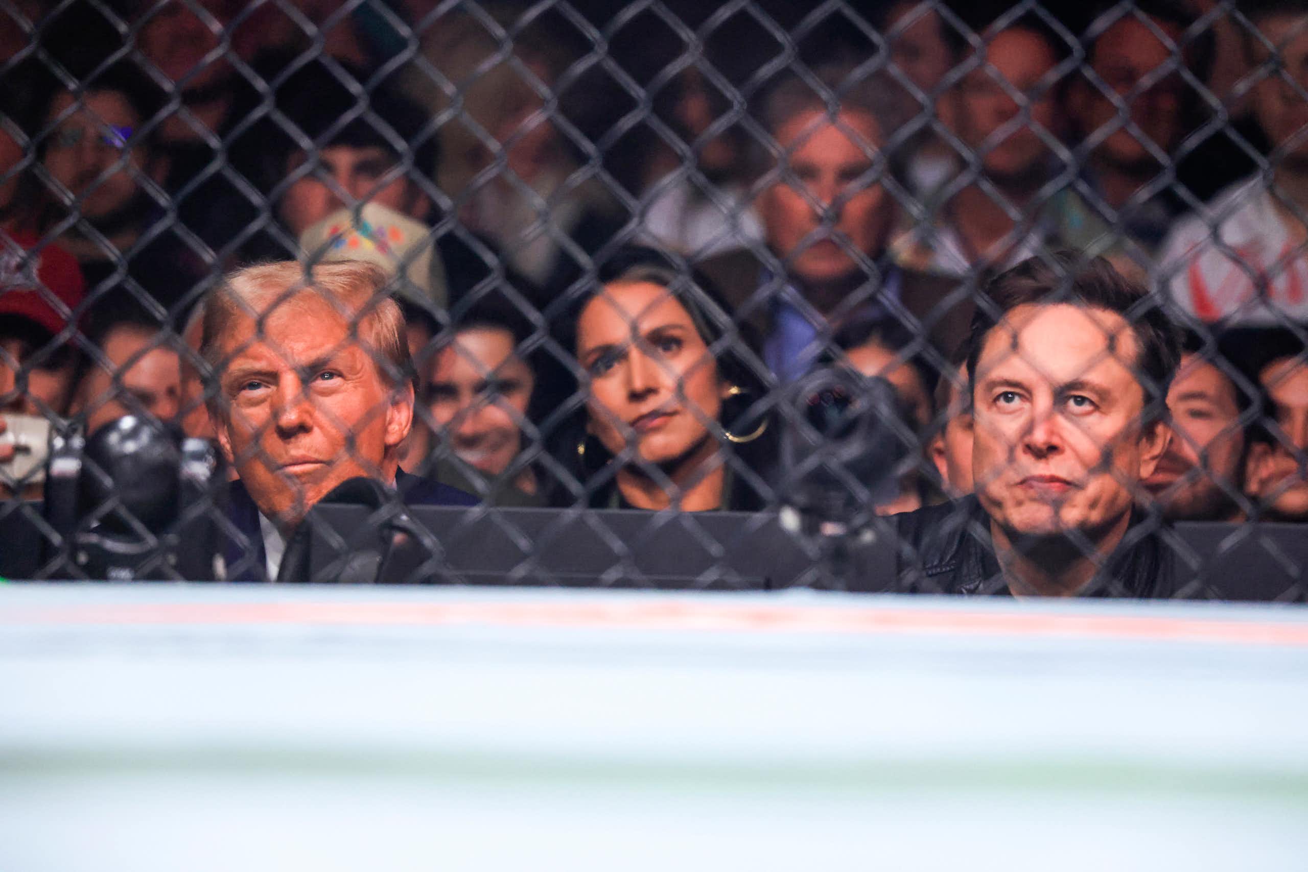Donald Trump, Tulsi Gabbard and Elon Musk sit ringside.