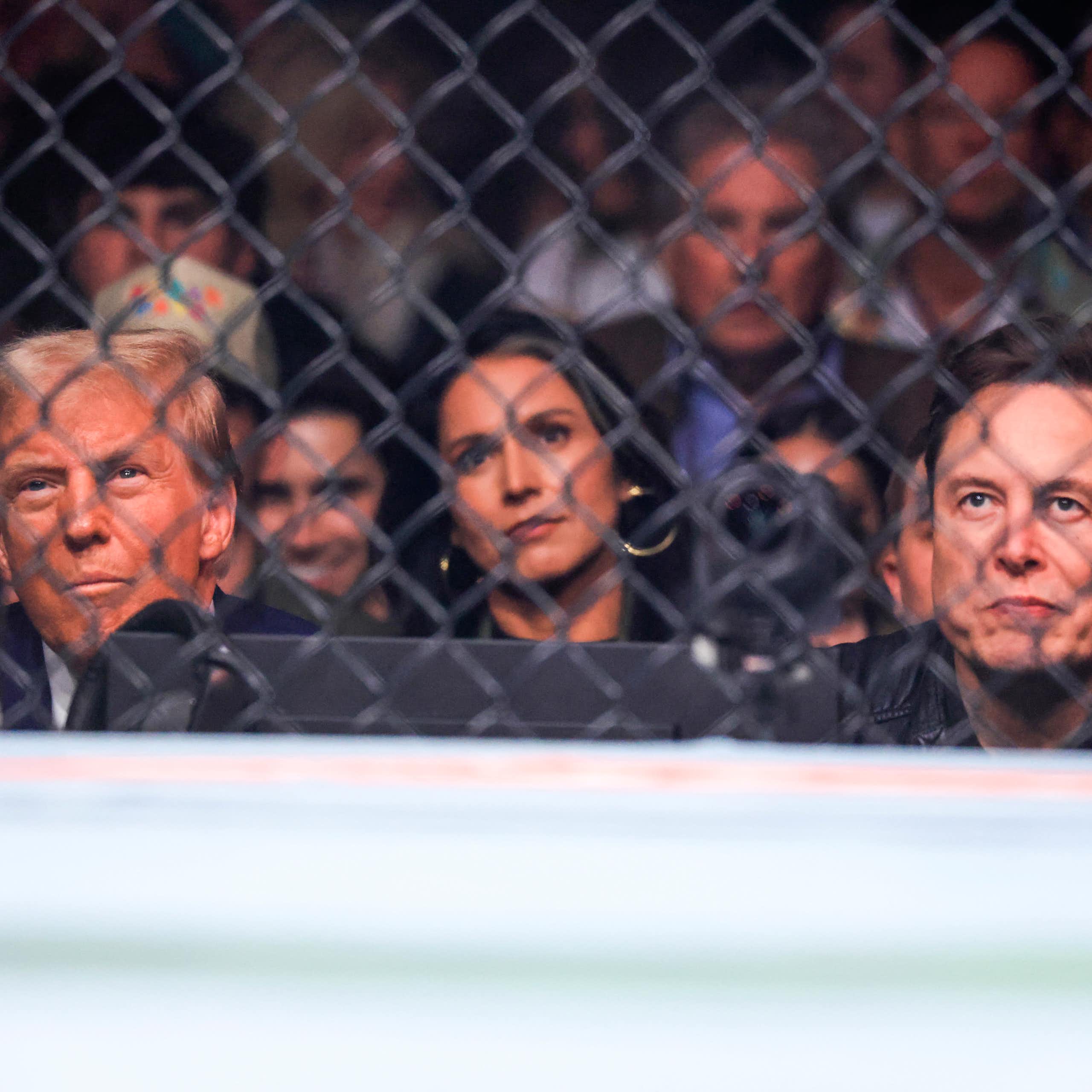 Donald Trump, Tulsi Gabbard and Elon Musk sit ringside.