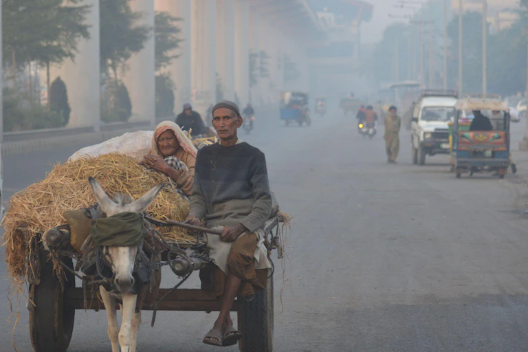 2 people on cart pulled by donkey, on road very smoggy