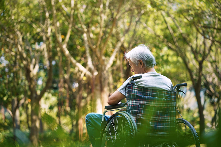 A man sits in a wheelchair in bushland.