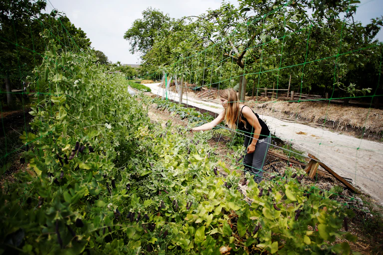 Une femme travaille dans la ferme biologique du Bec-Hellouin, dans le nord-ouest de la France, en 2018.