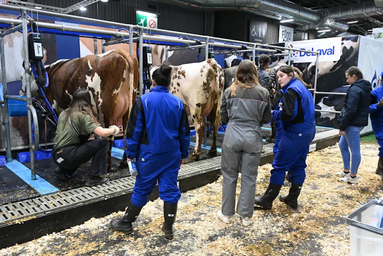 Février 2024, au Salon de l’agriculture de Paris