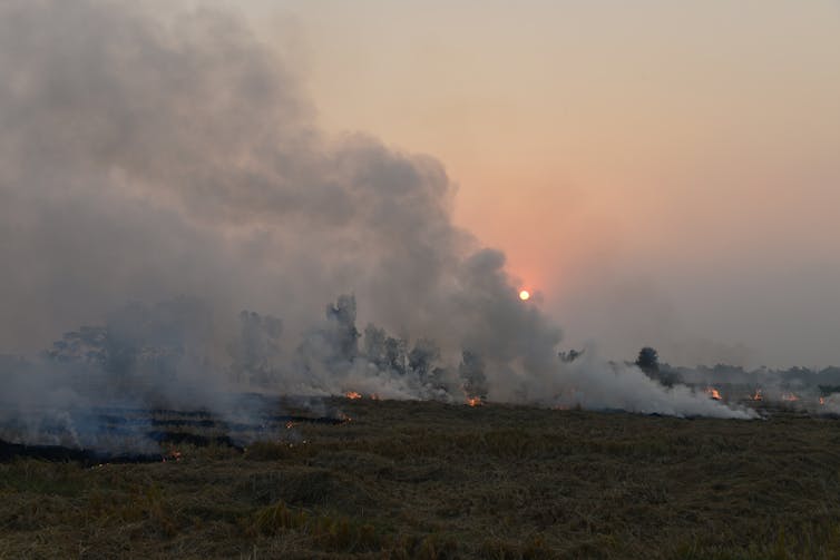 stubble bare field on fire, smoke in air