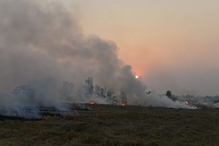 stubble bare field on fire, smoke in air