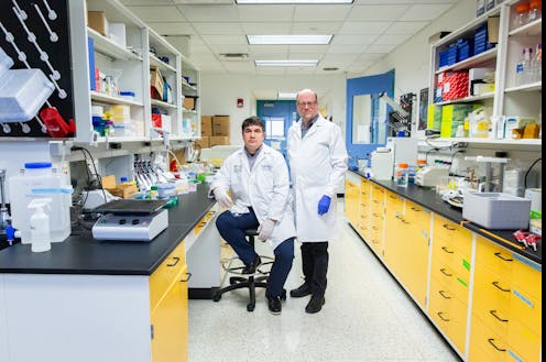 Bogus scientific papers are enriching fraudsters and slowing lifesaving medical research