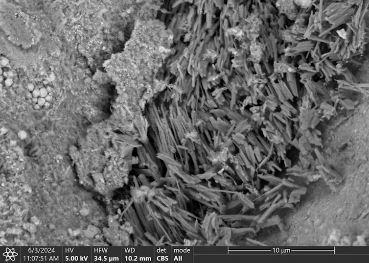 A microscope view of a rock, which has a crevice filled with long, thin crystal structures.