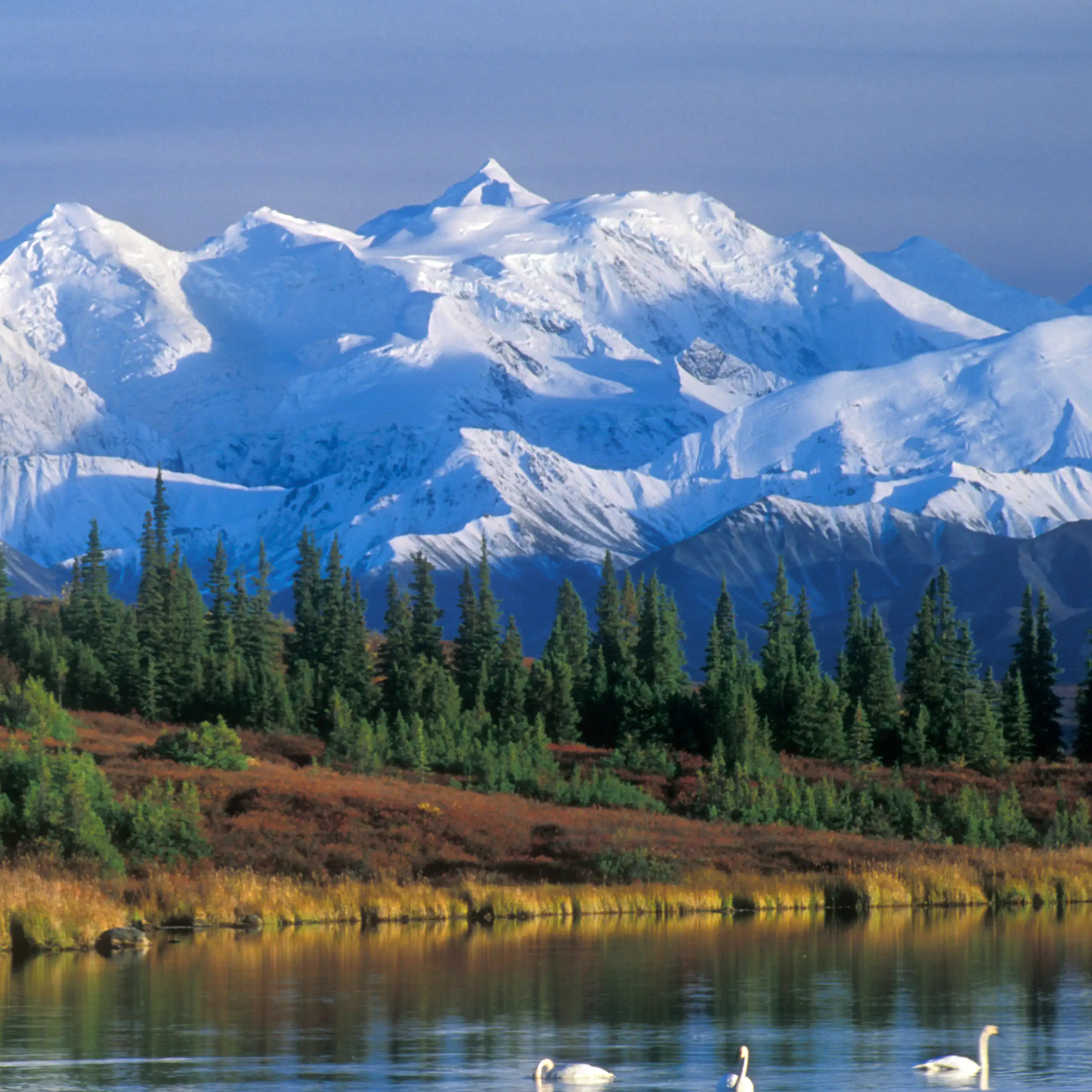 Paisaje pintoresco de montañas cubiertas de nieve y un lago con cisnes.