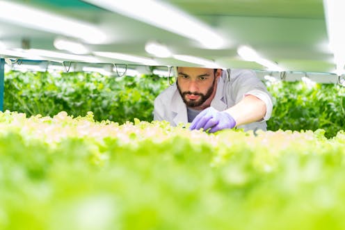 Five reasons why vertical farming is still the future, despite all the recent business failures