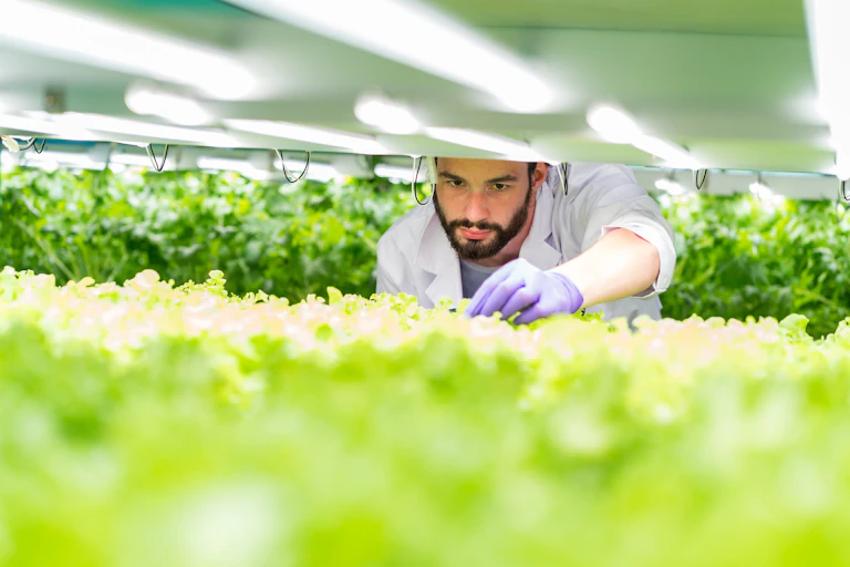 Scientist working in a vertical farm