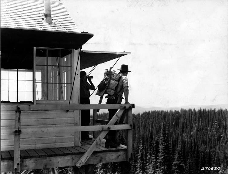 Two people stand on a fire tower with windows on all sides, looking out over the forest.