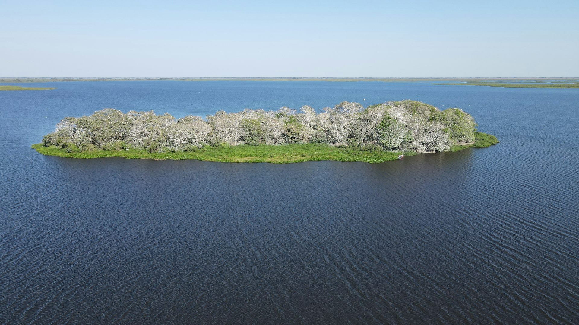 Imagem mostra uma por&ccedil;&atilde;o de terra no meio da &aacute;gua, coberta de vegeta&ccedil;&atilde;o