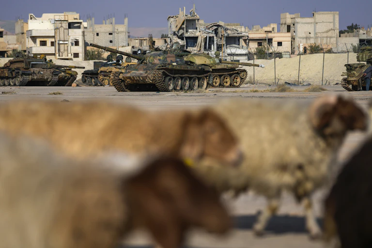 Blurred sheep in the foreground with tanks in front of a destroyed building.