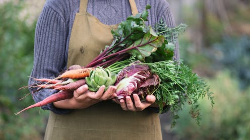 Some vegetables are pretty low in fibre. So which veggies are high-fibre heroes?