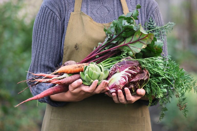 A person carries some vegetables fresh from the garden.