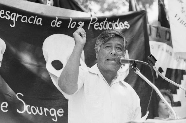 United Farm Workers president Cesar Chavez speaks in front of a bilingual banner.