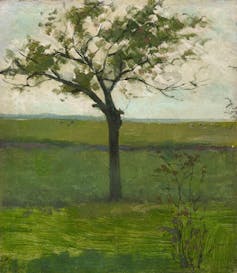 A lone tree in a green field.