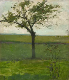 A lone tree in a green field.