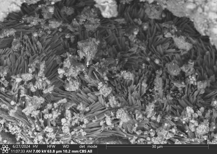 Tiny shards of crystals.