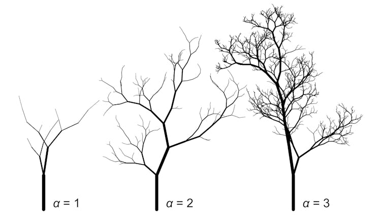 Black and white diagram of three computer-generated trees in a row with values α=1, α=2, and α=3 showing increasing density of branches.