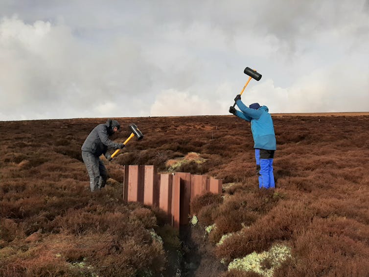 People hammering things into peat bog