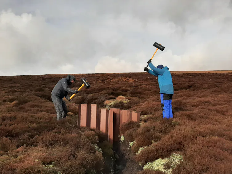 People hammering things into peat bog
