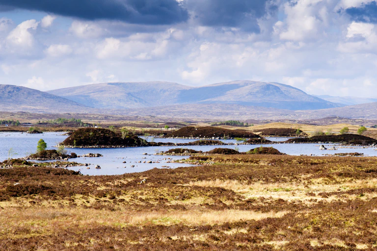 large peat bog with lake and hills in background