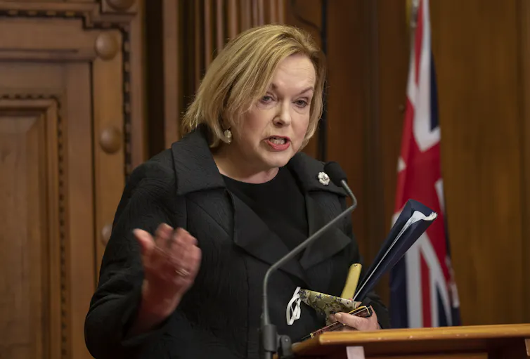 Judith Collins speaking to the press at a podium with microphones.