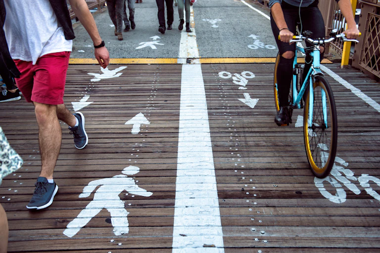 Pedestrians and cyclists are separated by a white line